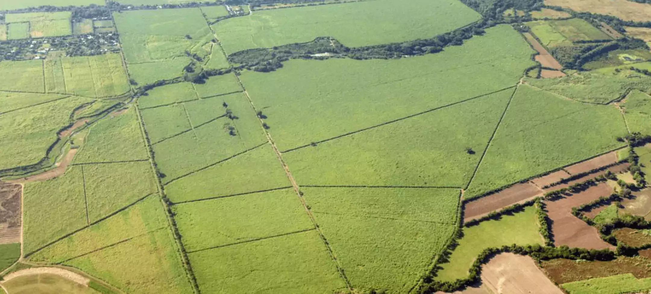 Partnering with communities for the future of energy.