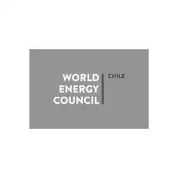 Chile-partners-1.png