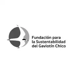 Chile-partners-5.png